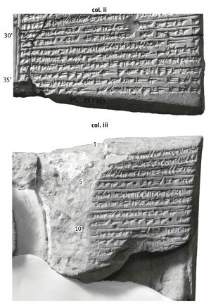 Assyrian version of the motif 'blindness-liver'