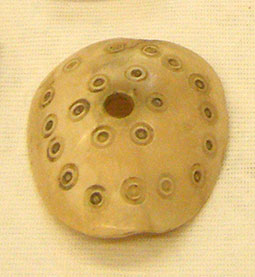 White shell with hole in the centre, stamped with circular pattern of black concentric circles